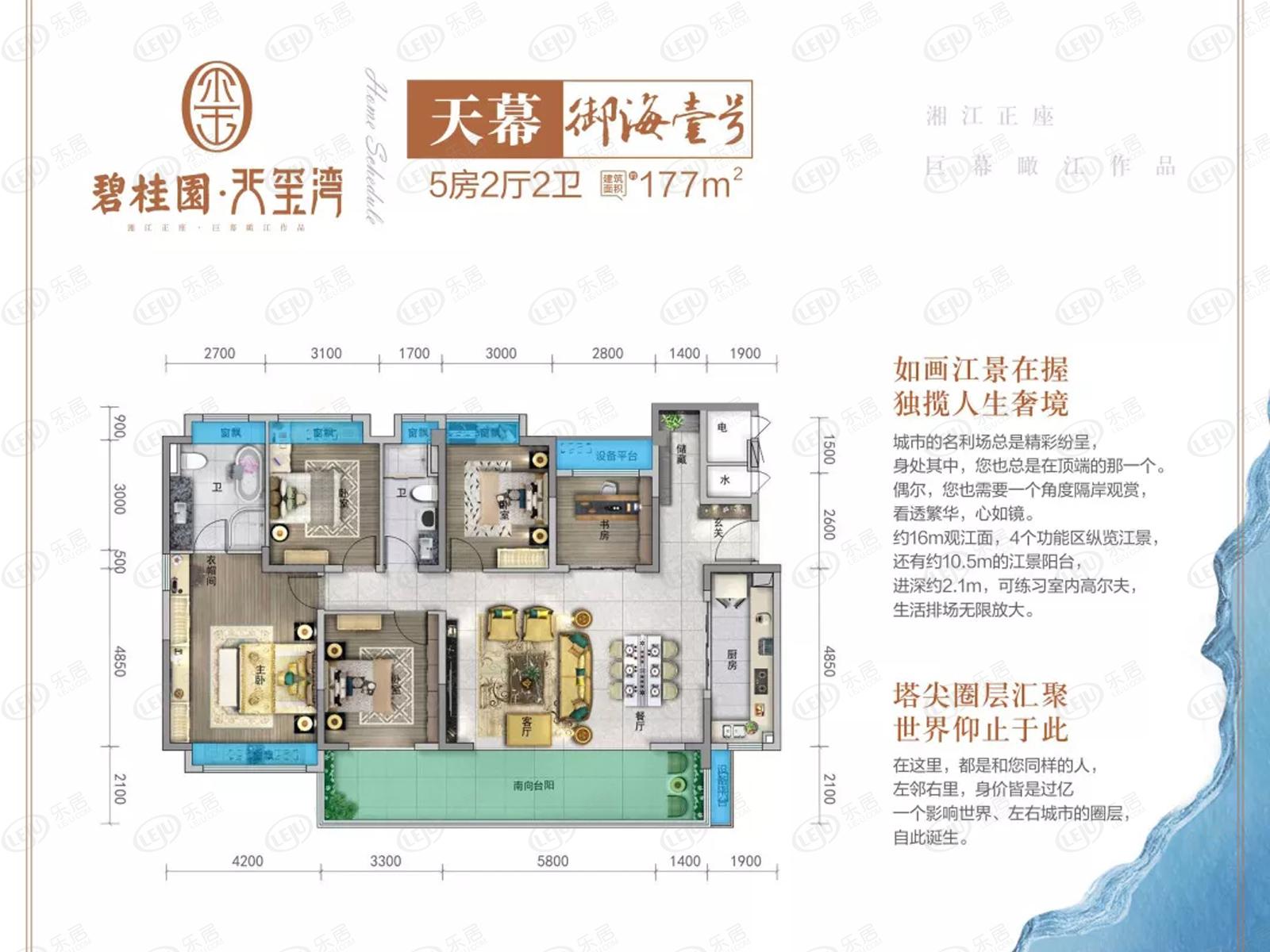 碧桂园·天玺湾御海壹号户型图