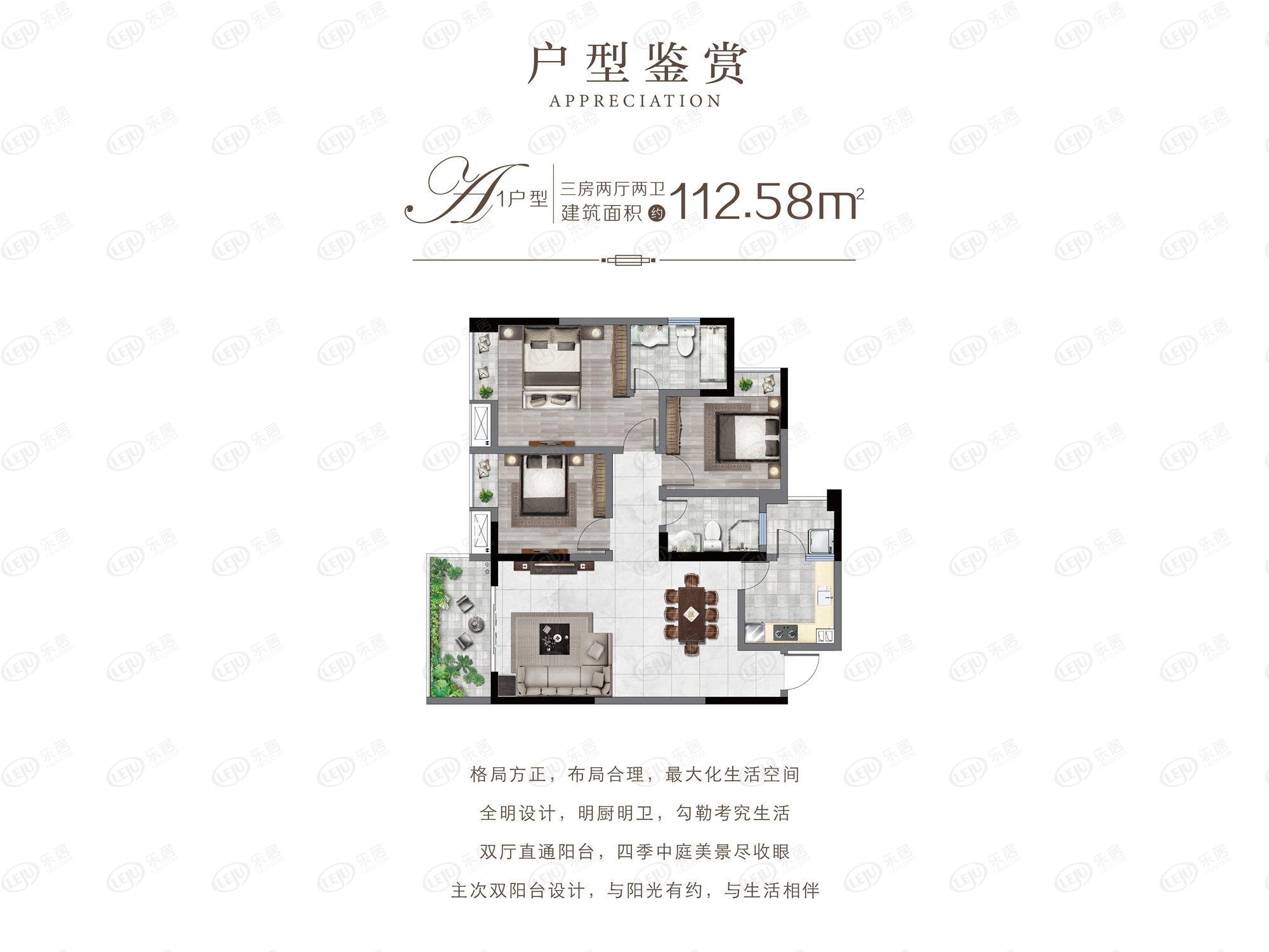 半山半园a1户型户型图