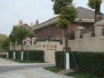 金球怡云花园玫瑰里社区实景